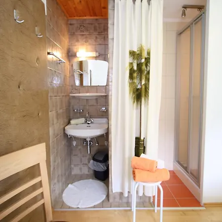 Cozy In Near Apartament Niedernsill