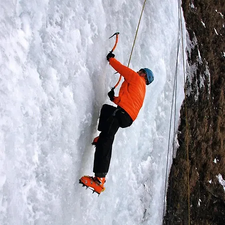 Cozy In Near Apartament Niedernsill