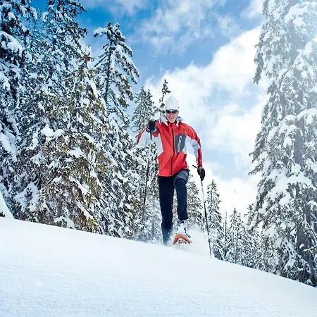 Cozy In Near Apartament