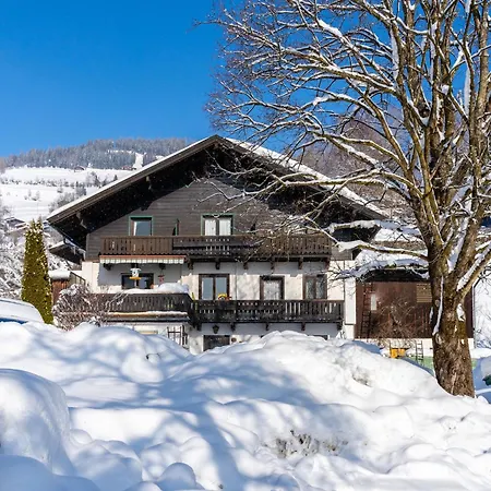 Apartament Cozy In Near