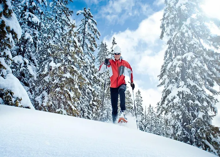 Cozy In Near Apartamento